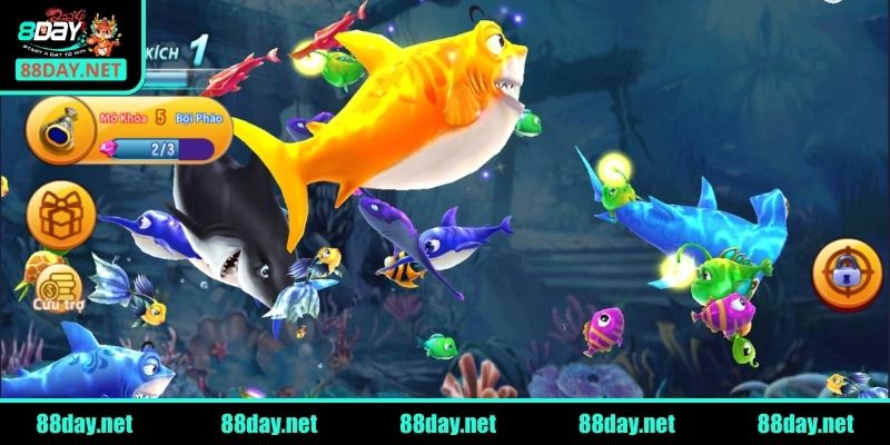 Trải nghiệm game Vua Hải Tặc Săn Cá